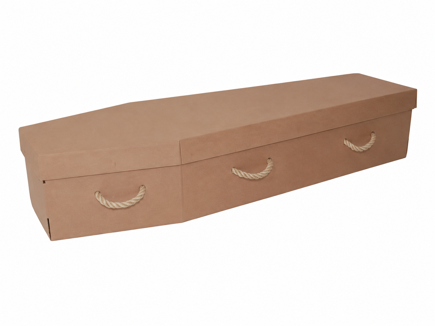 Cardboard coffin